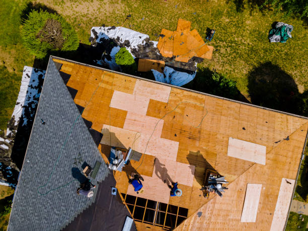 Best Roof Leak Repair  in Adairsville, GA