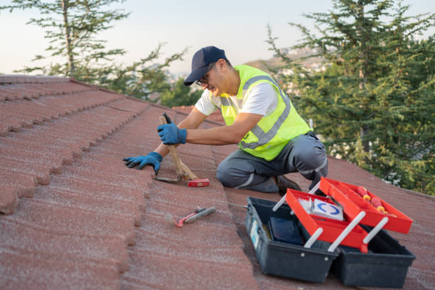 Best Local Roofing Companies  in Adairsville, GA