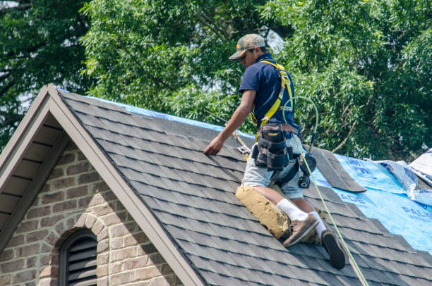 Best Roof Gutter Cleaning  in Adairsville, GA